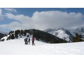 photo coins arrondis